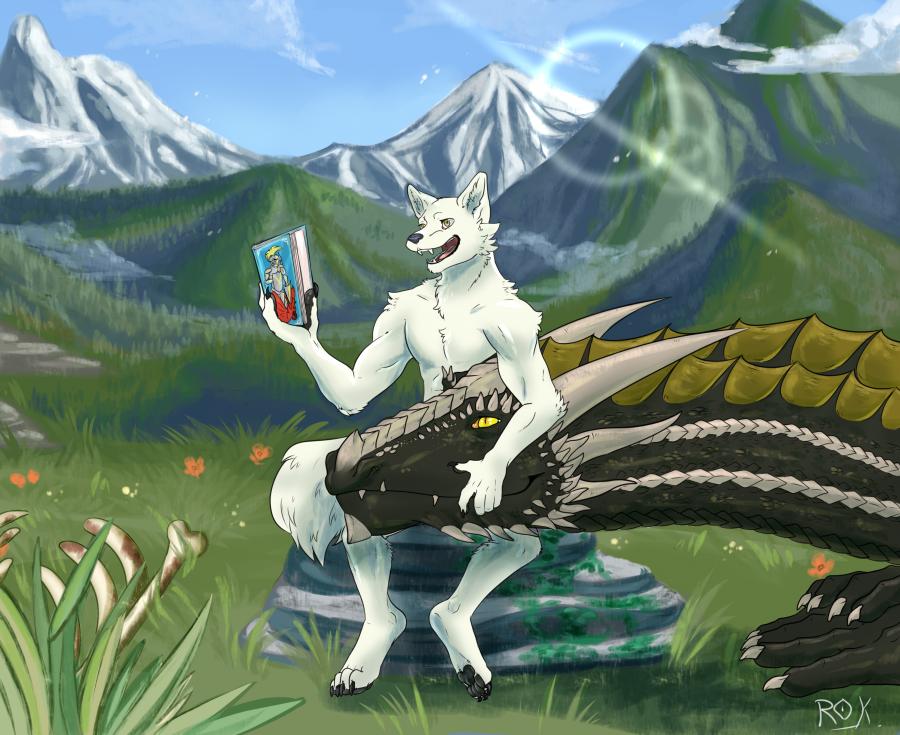 The Knight and the Dragon